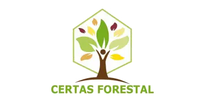 logo-cetras-fin